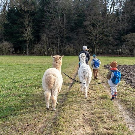 Gruppenunterkunft Mit Billardtisch Und Lamatrekking Meikirch ภายนอก รูปภาพ